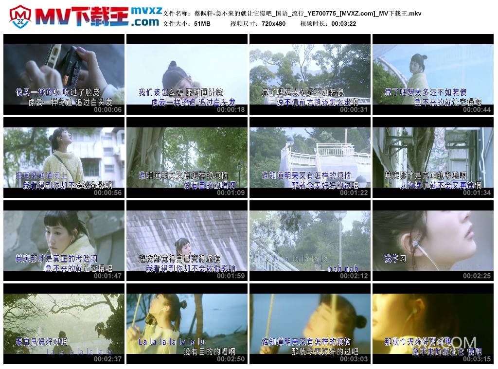蔡佩轩-急不来的就让它慢吧_国语_流行_YE700775